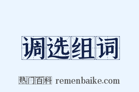 调选组词是什么意思的图片